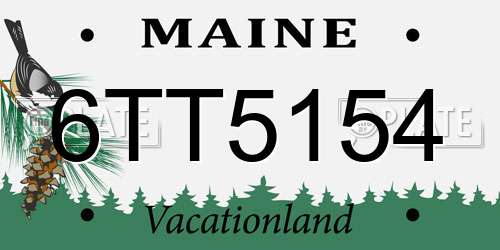 6TT5154 Maine License Plate