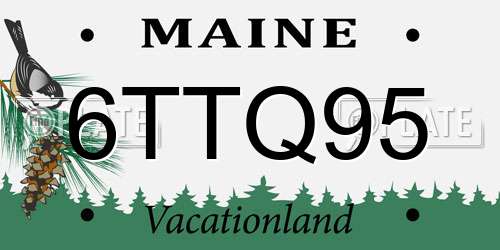 6TTQ95 Maine License Plate