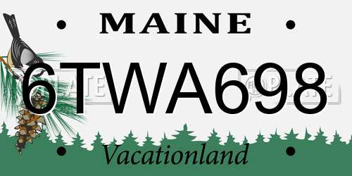 6TWA698 Maine License Plate