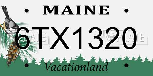 6TX1320 Maine License Plate
