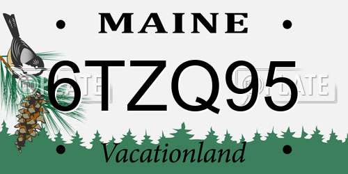 6TZQ95 Maine License Plate