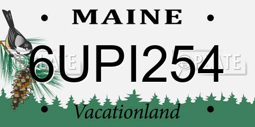 6UPI254 Maine License Plate