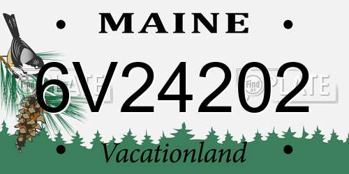 6V24202 Maine License Plate