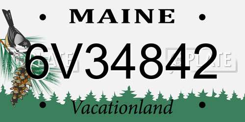 6V34842 Maine License Plate