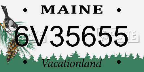 6V35655 Maine License Plate