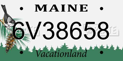 6V38658 Maine License Plate