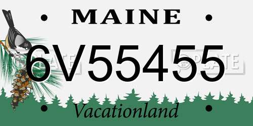 6V55455 Maine License Plate