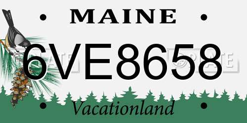 6VE8658 Maine License Plate