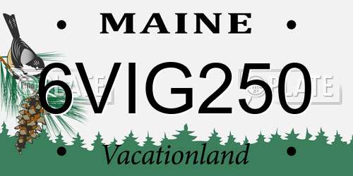 6VIG250 Maine License Plate