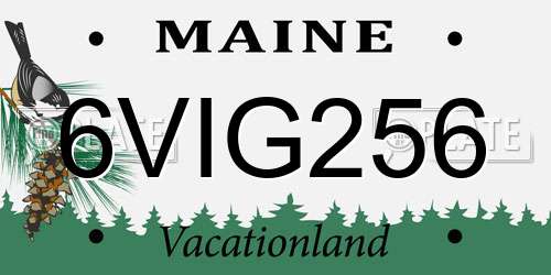 6VIG256 Maine License Plate