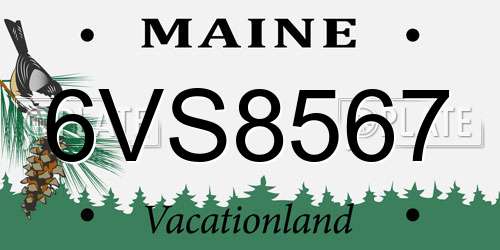6VS8567 Maine License Plate