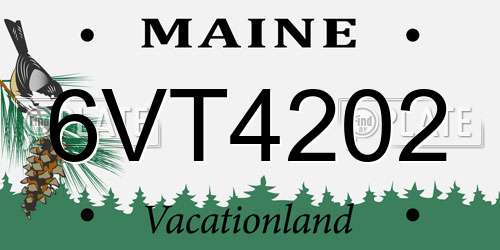6VT4202 Maine License Plate