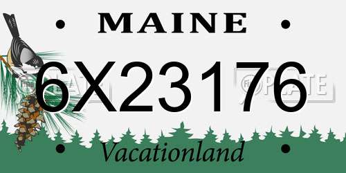 6X23176 Maine License Plate