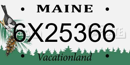 6X25366 Maine License Plate