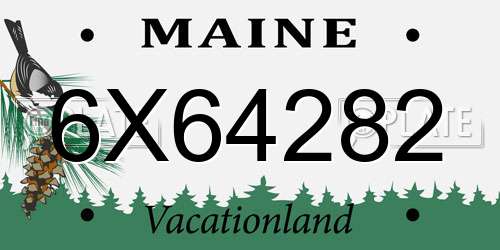 6X64282 Maine License Plate