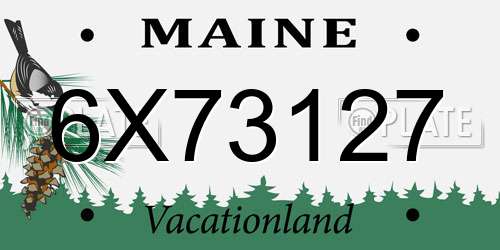 6X73127 Maine License Plate