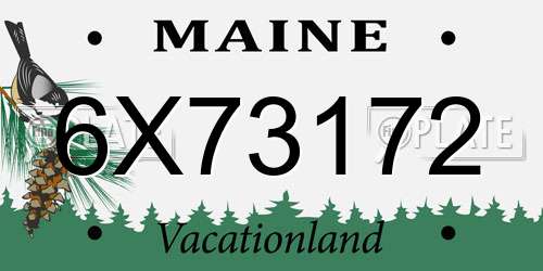 6X73172 Maine License Plate