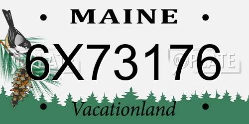 6X73176 Maine License Plate