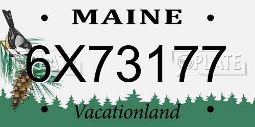 6X73177 Maine License Plate