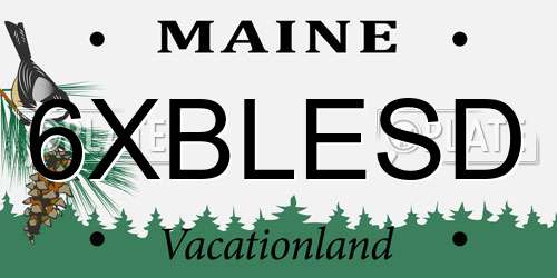 6XBLESD Maine License Plate