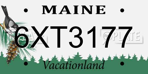 6XT3177 Maine License Plate