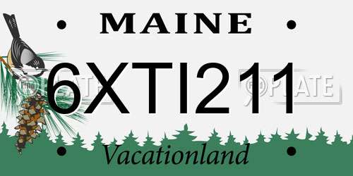 6XTI211 Maine License Plate