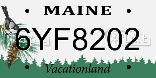 6YF8202 Maine License Plate