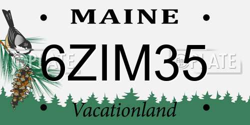 6ZIM35 Maine License Plate