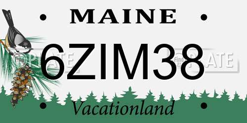 6ZIM38 Maine License Plate