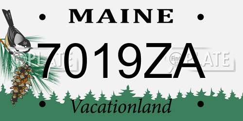 7019ZA Maine License Plate