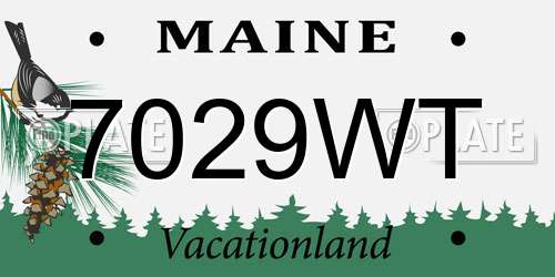 7029WT Maine License Plate