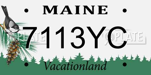 7113YC Maine License Plate