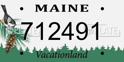 712491 Maine License Plate