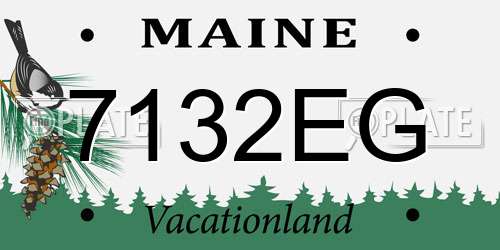 7132EG Maine License Plate