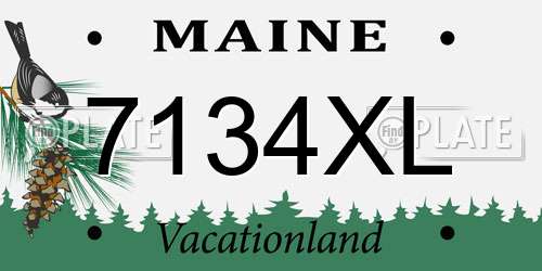 7134XL Maine License Plate