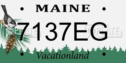 7137EG Maine License Plate