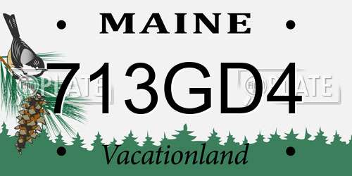 713GD4 Maine License Plate