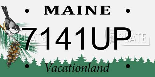 7141UP Maine License Plate