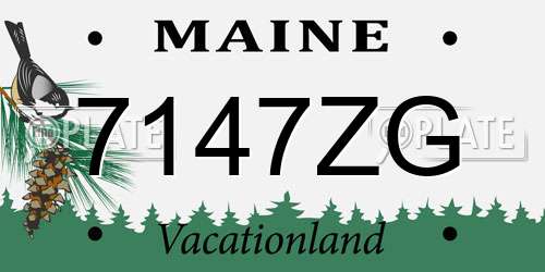 7147ZG Maine License Plate