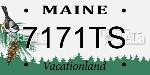 7171TS Maine License Plate