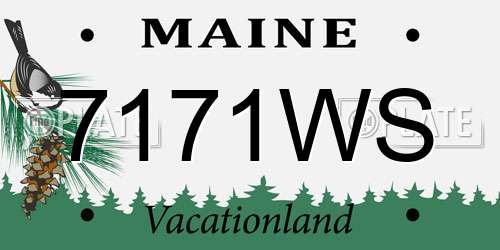 7171WS Maine License Plate