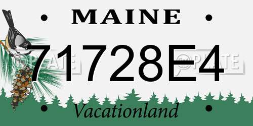 71728E4 Maine License Plate