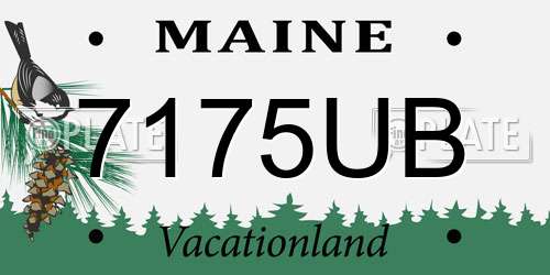 7175UB Maine License Plate