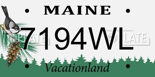 7194WL Maine License Plate