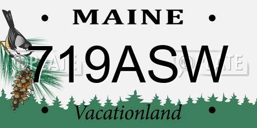 719ASW Maine License Plate