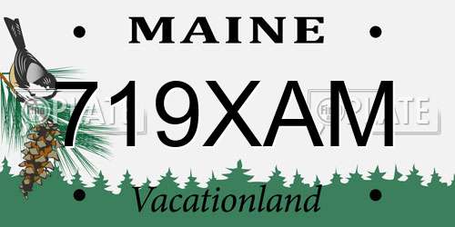 719XAM Maine License Plate