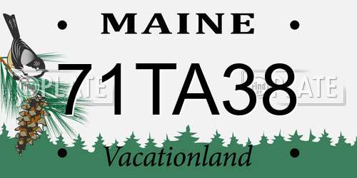 71TA38 Maine License Plate