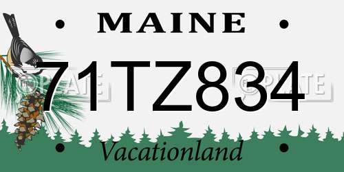 71TZ834 Maine License Plate