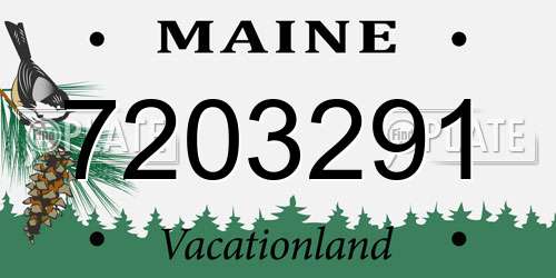 7203291 Maine License Plate