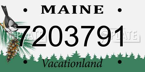 7203791 Maine License Plate
